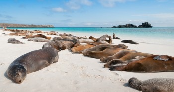 UNO DE LOS ESPACIOS MÁS PROTEGIDOS DEL PLANETA: LAS ISLAS GALÁPAGOS