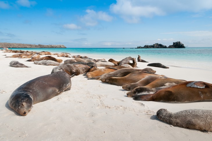 UNO DE LOS ESPACIOS MÁS PROTEGIDOS DEL PLANETA: LAS ISLAS GALÁPAGOS