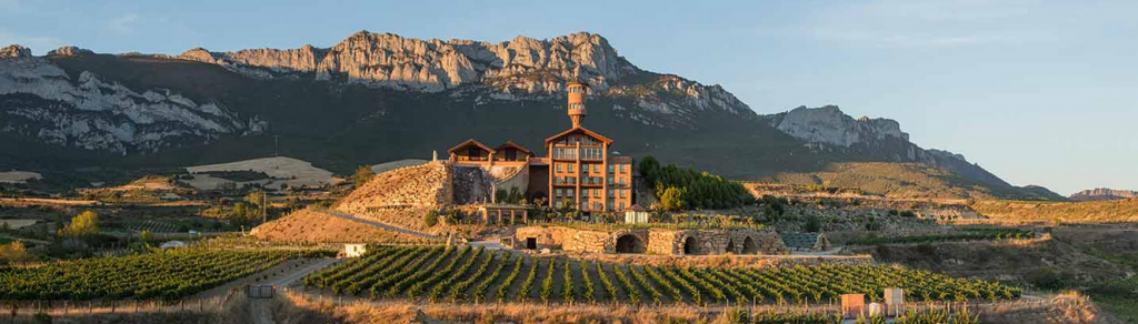 Bodegas de diseño