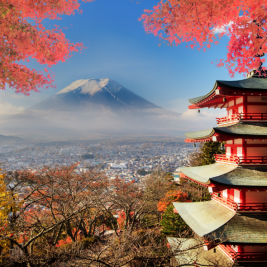 Secretos de Japón