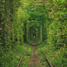 Túnel del amor de Ucrania