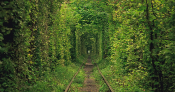 Túnel del amor de Ucrania