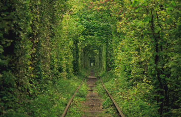 Túnel del amor de Ucrania