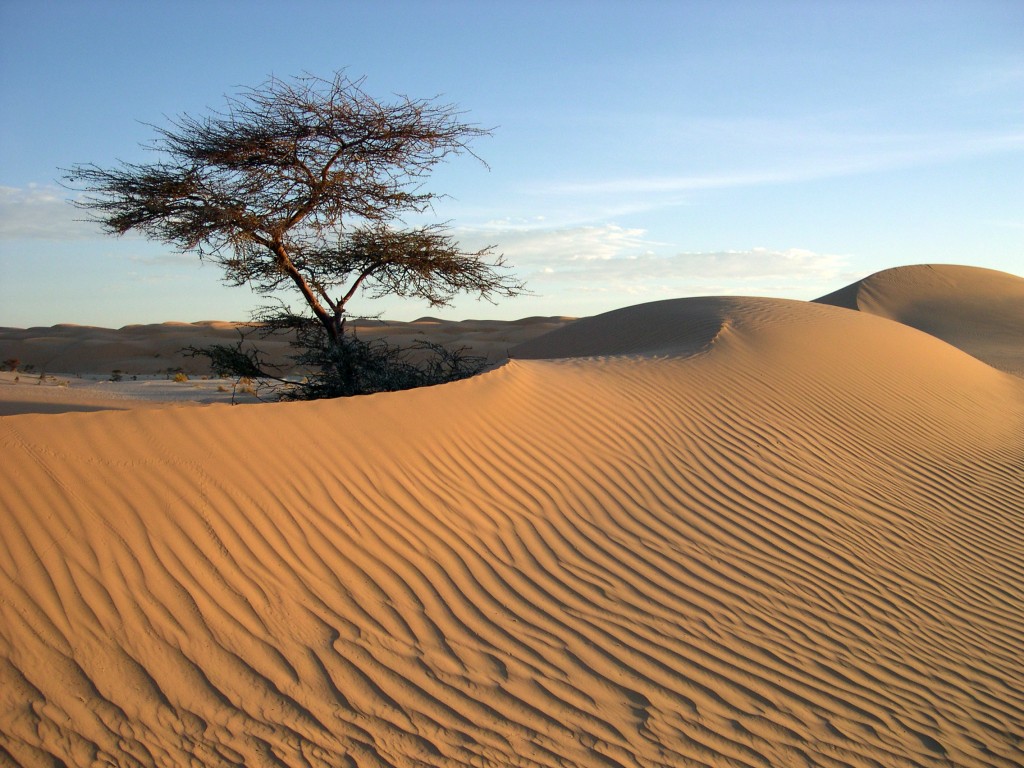 Mauritania