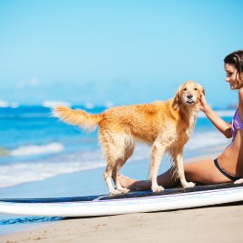 Los mejores lugares para viajar con perros