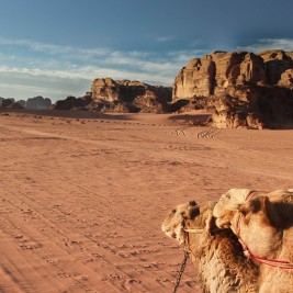 Las 5 experiencias que no te puedes perder de Jordania