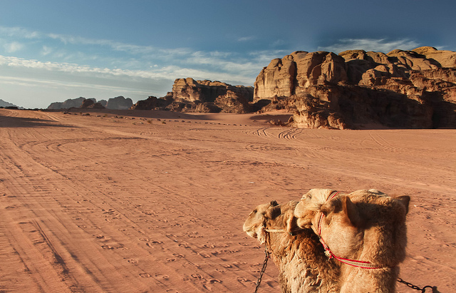 Las 5 experiencias que no te puedes perder de Jordania