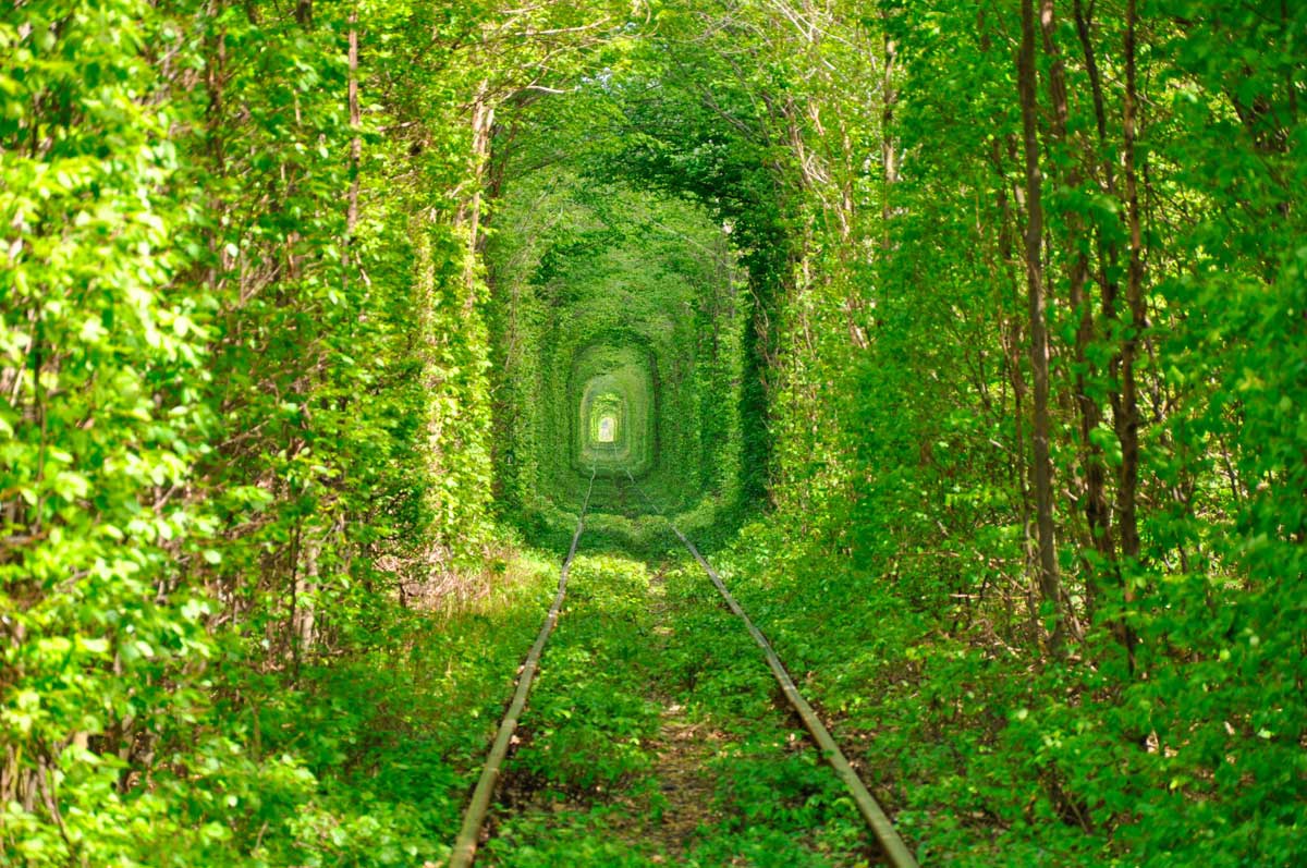 Viajes en tren