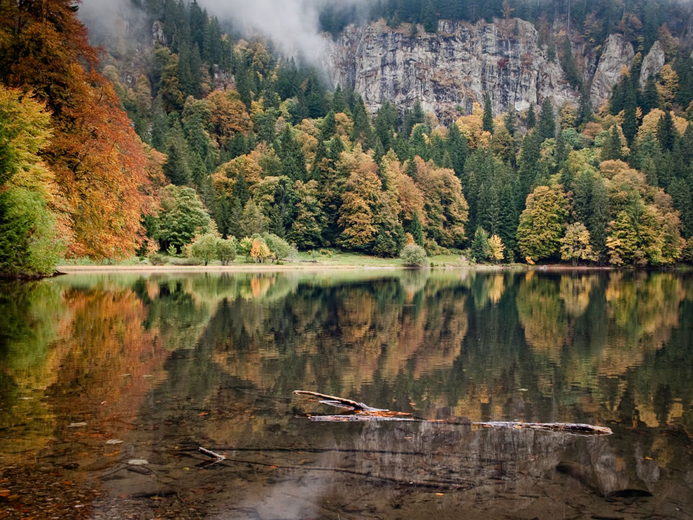 Bosque Negro de Alemania