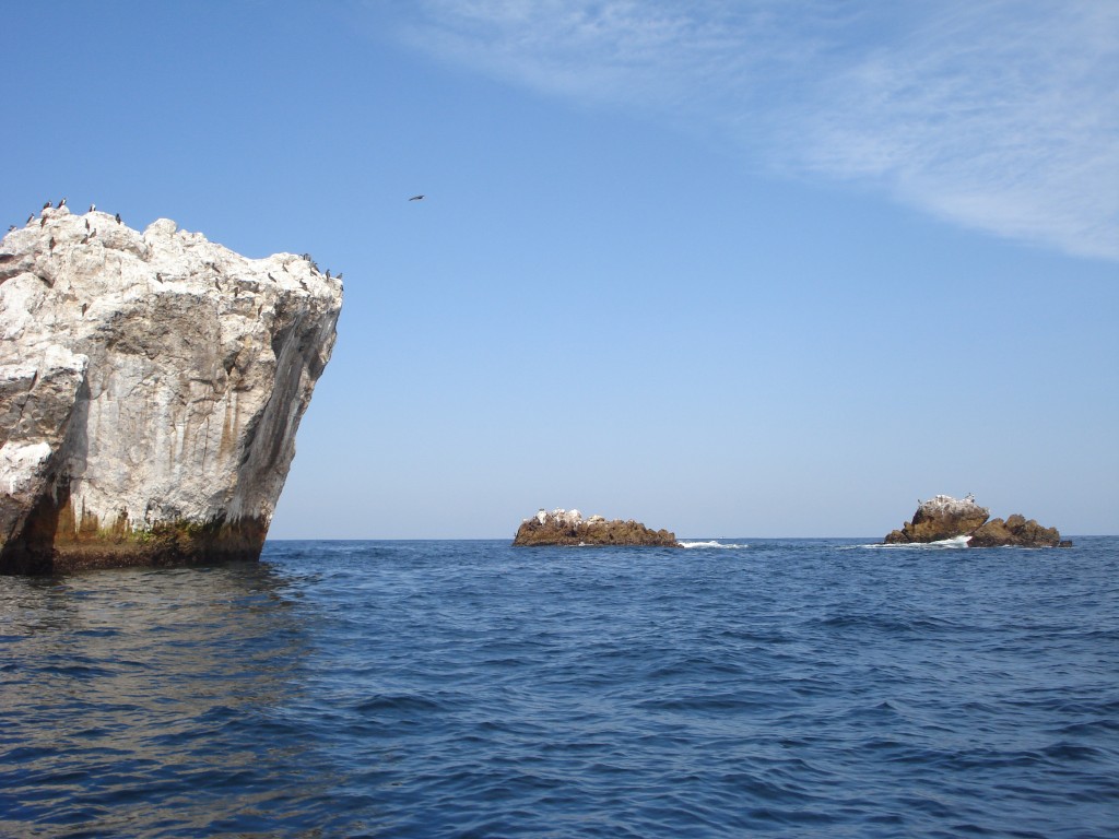 ecoturismo