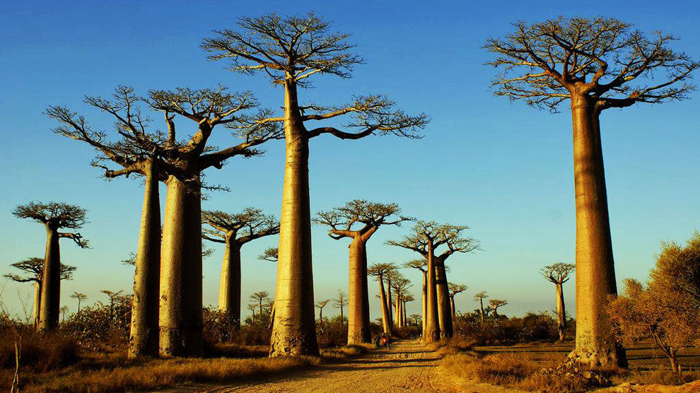 lugares de África