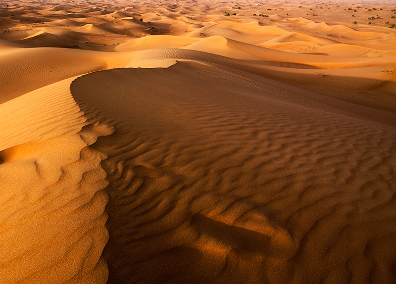 desiertos arabigo