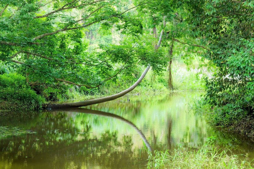 paisajes de Oceanía