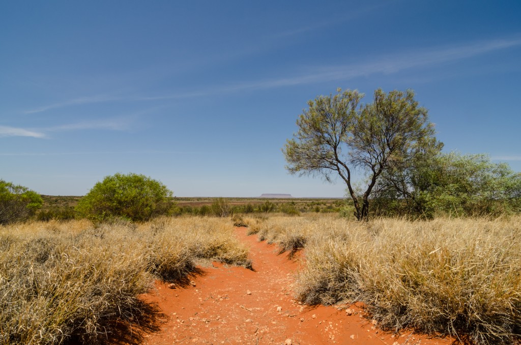 desiertos del mundo