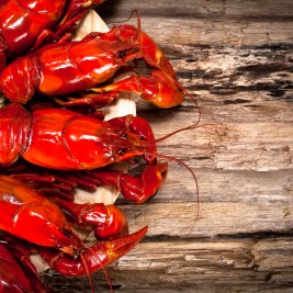 Fetsivales gastronómicos en el mundo