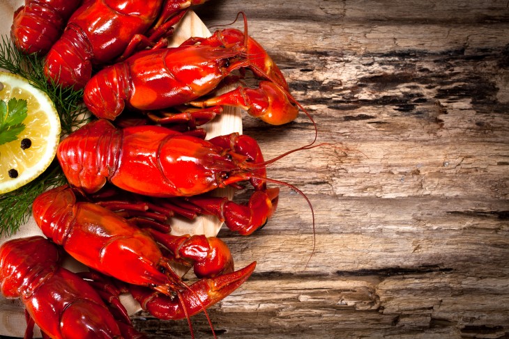 Fetsivales gastronómicos en el mundo