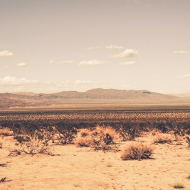 Los desiertos más grandes del planeta