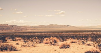Los desiertos más grandes del planeta