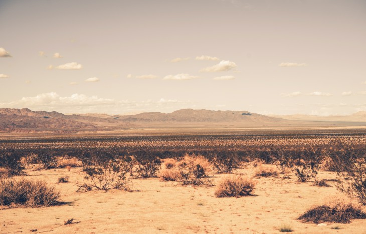 Los desiertos más grandes del planeta