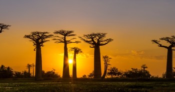 Ahora o nunca: Lugares en peligro de extinción