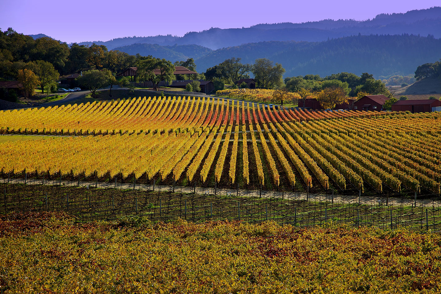 Napa Valley