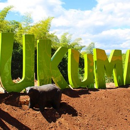 Parque Ukumarí