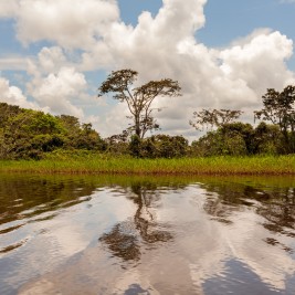 Un día por la selva ecuatoriana