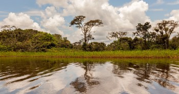 Un día por la selva ecuatoriana