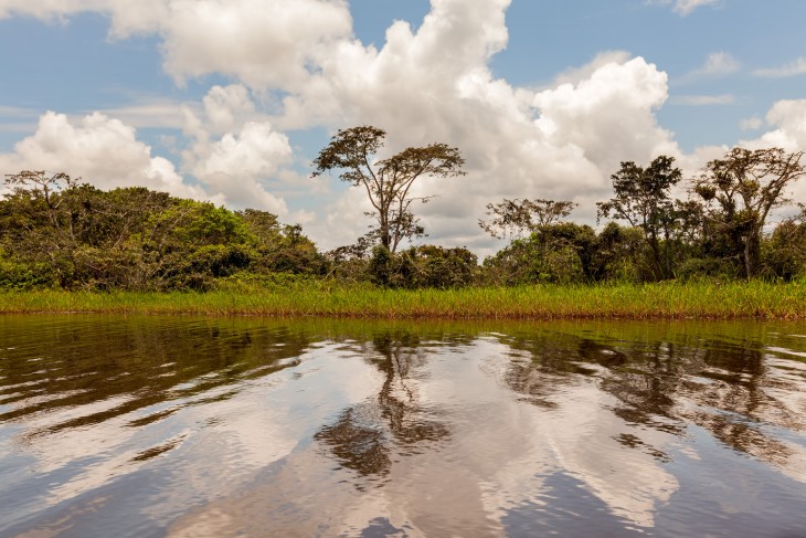 Un día por la selva ecuatoriana