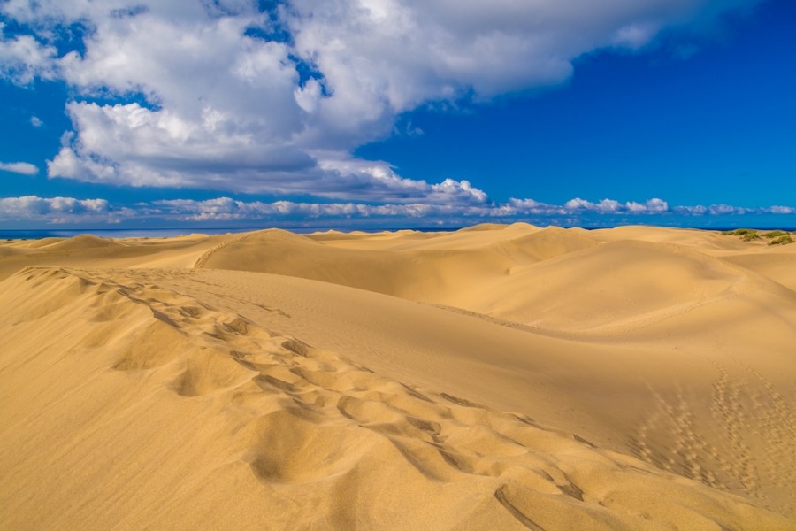 Huir del frío