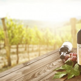 De ruta por la Ribera del Duero