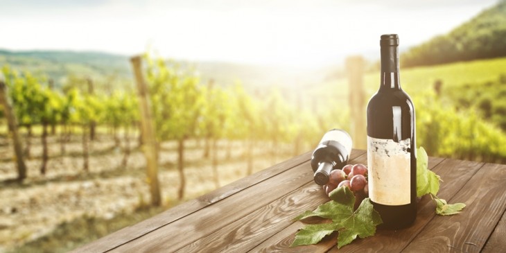 De ruta por la Ribera del Duero