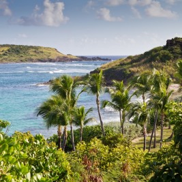 Rocher de "la tortue"  Saint-Barthlmy.