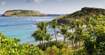 Rocher de "la tortue"  Saint-Barthlmy.