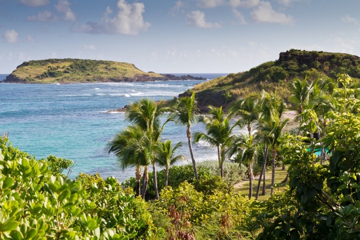 Rocher de "la tortue"  Saint-Barthlmy.