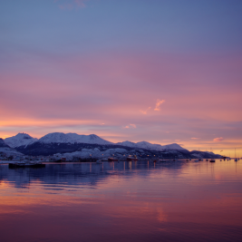 La tierra del fuego