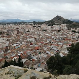 Vista de los arrozales de Calasparra junto al río Segura con el pueblo y las sierras al fondo
