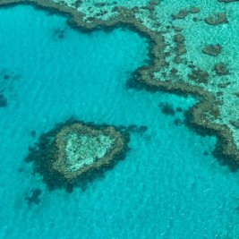 Vista aérea de los arrecifes turquesas de la Gran Barrera de Coral australiana