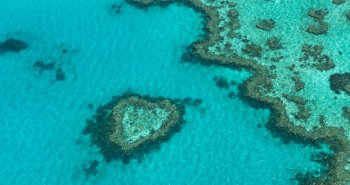 Vista aérea de los arrecifes turquesas de la Gran Barrera de Coral australiana
