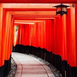 Viajero caminando entre los torii rojos del santuario Fushimi Inari en Kioto