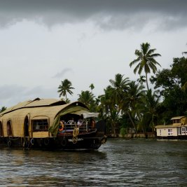 Casa flotante navegando entre palmeras por los backwaters de Kerala, en la India