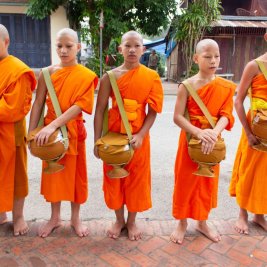 Monjes budistas con túnicas naranjas ante un templo dorado de Luang Prabang