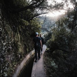 Sendero de una levada entre bosque verde en la isla de Madeira