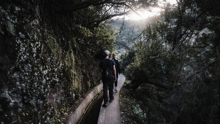 Sendero de una levada entre bosque verde en la isla de Madeira