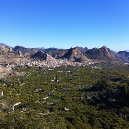 Vista panorámica de Ricote rodeado de huertos de limoneros y palmeras, con las sierras áridas del Valle de Ricote al fondo