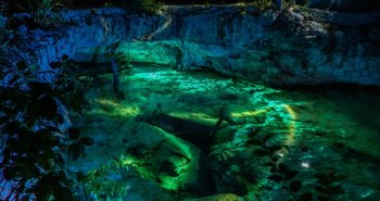 Cenote de aguas turquesas rodeado de vegetación en Yucatán, México