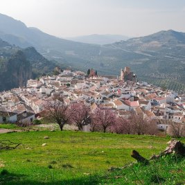 Panorámica de Zuheros con su castillo sobre la roca y las casas blancas asomadas al mar de olivos de la Subbética